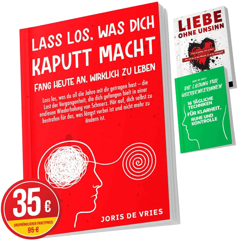 Lass los, was dich kaputt macht — Buch von Joris de Vries